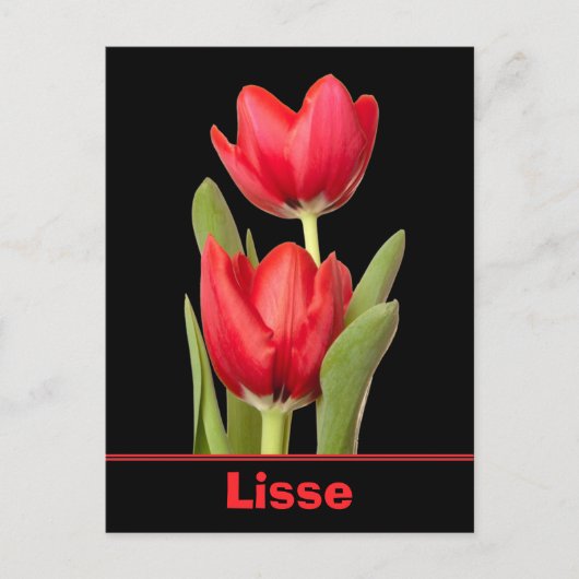 Red Tulips Lisse Briefkaart (Voorkant)