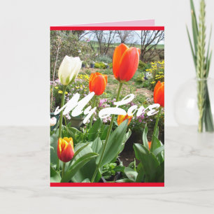 Red Tulips My Love Spring bloemen Kaart