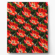 Red Tulips Patroon