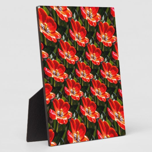 Red Tulips Patroon Fotoplaat (Zijkant)