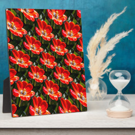 Red Tulips Patroon Fotoplaat