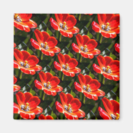 Red Tulips Patroon Magneet