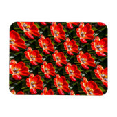 Red Tulips Patroon Magneet (Horizontaal)