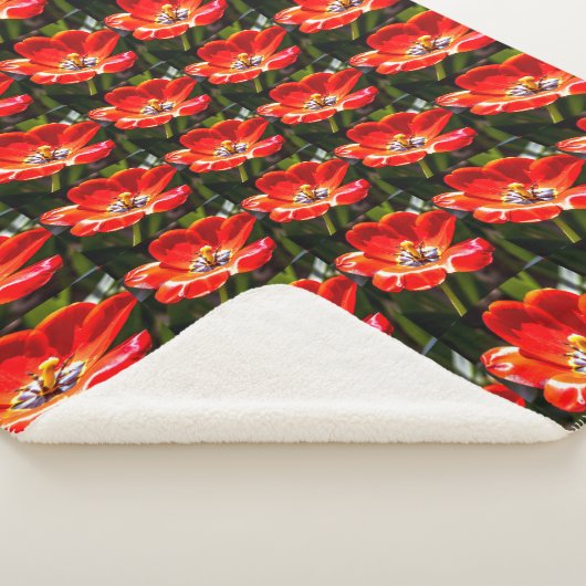 Red Tulips Patroon Sherpa Deken (3/4)