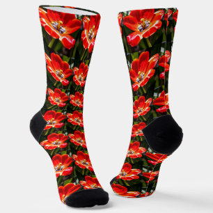 Red Tulips Patroon Sokken