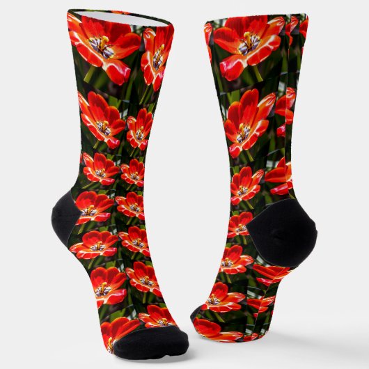Red Tulips Patroon Sokken (Gebogen)