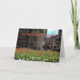 Red Tulips Spring Greetings van NYC-kaart Kaart