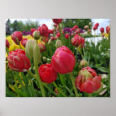 Red Tulips Spring Poster (Voorkant)
