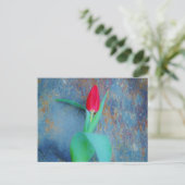 Red Tulp op blauw grijze laat Briefkaart (Staand voorkant)