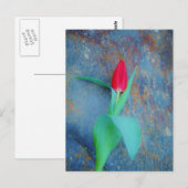 Red Tulp op blauw grijze laat Briefkaart (Voorkant / Achterkant)