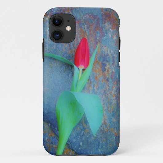 Red Tulp op blauw grijze laat Case-Mate iPhone Case (Achterkant)