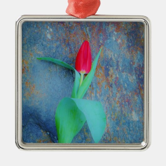 Red Tulp op blauw grijze laat Metalen Ornament (Voorkant)