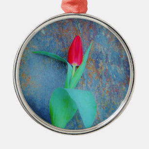 Red Tulp op blauw grijze laat Metalen Ornament