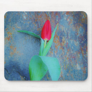 Red Tulp op blauw grijze laat Muismat
