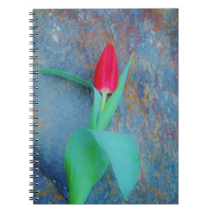 Red Tulp op blauw grijze laat Notitieboek