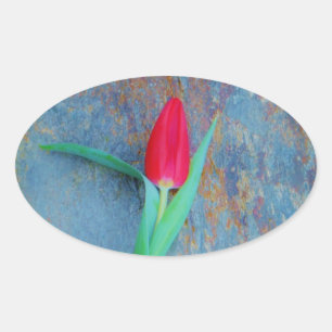 Red Tulp op blauw grijze laat Ovale Sticker
