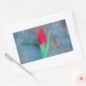 Red Tulp op blauw grijze laat Rechthoekige Sticker (Envelop)