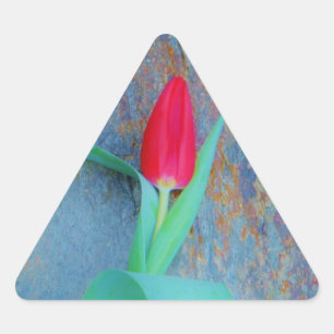 Red Tulp op blauw grijze laat Sticker