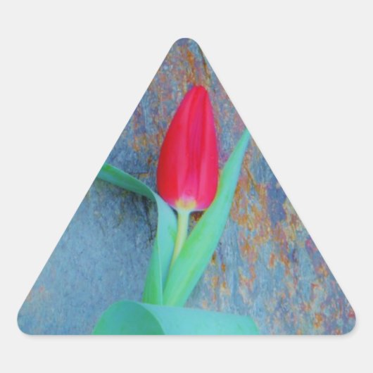 Red Tulp op blauw grijze laat Sticker (Voorkant)