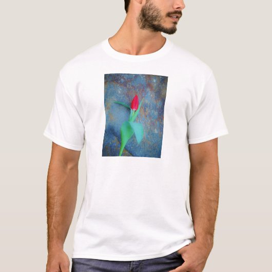 Red Tulp op blauw grijze laat T-shirt (Voorkant)