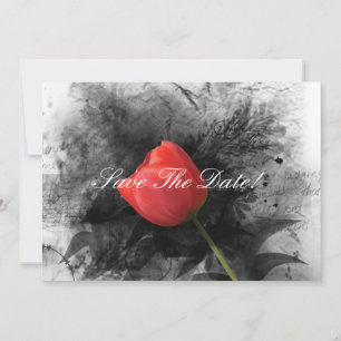 Red Tulp slaat de datum op Save The Date