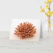 Red urchin kaart (Gele Bloem)