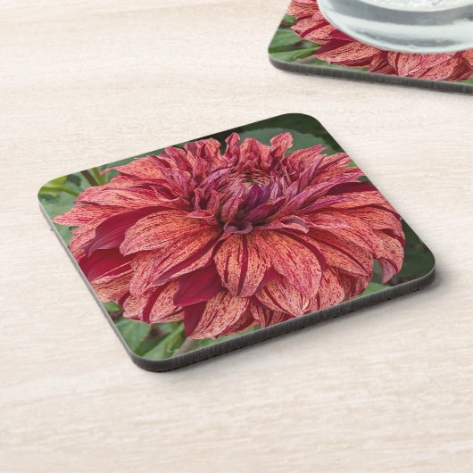 Red Variegated Dahlia Bloom Floral Bier Onderzetter (Linkerzijde)