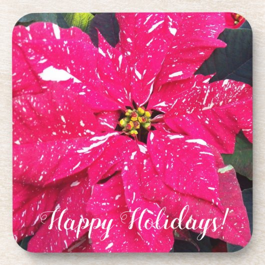 Red Variegated Poinsettia Floral Holiday Bier Onderzetter (Voorkant)
