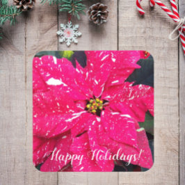 Red Variegated Poinsettia Floral Holiday Bier Onderzetter