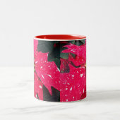 Red Variegated Poinsettia Holiday Mok (Center)