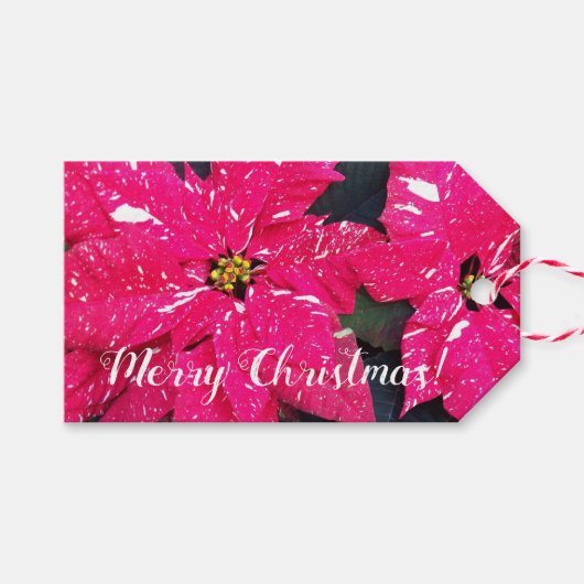 Red Variegated Poinsettias Holiday Cadeaulabel (Voorkant (Horizontaal))