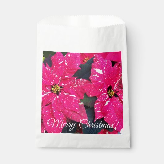 Red Variegated Poinsettias KerstFloral Bedankzakje (Voorkant)