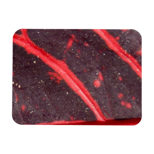 Red Veined Hawaiian Leaf 3 Magneet (Horizontaal)