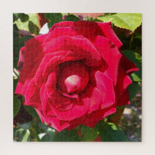Red Velvet Bud Legpuzzel