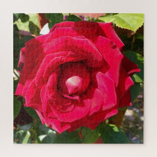 Red Velvet Bud Legpuzzel (Verticaal)