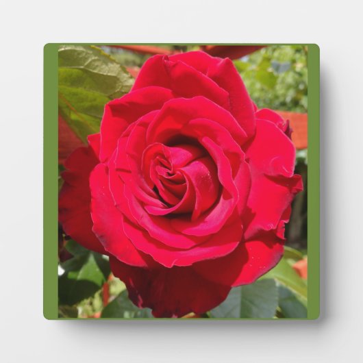 Red Velvet Fotoplaat (Voorkant)