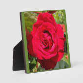 Red Velvet Fotoplaat (Voorkant)