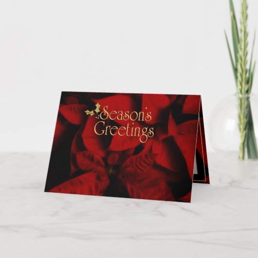 Red Velvet Poinsettia Season's Greetings Feestdagen Kaart (Voorkant)