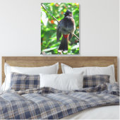 Red-vented Bulbul Canvas Afdruk (Insitu (Slaapkamer))