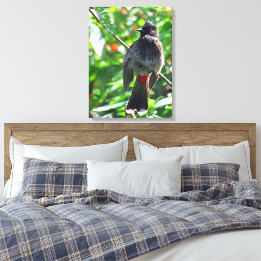 Red-vented Bulbul Canvas Afdruk (Insitu (Slaapkamer))
