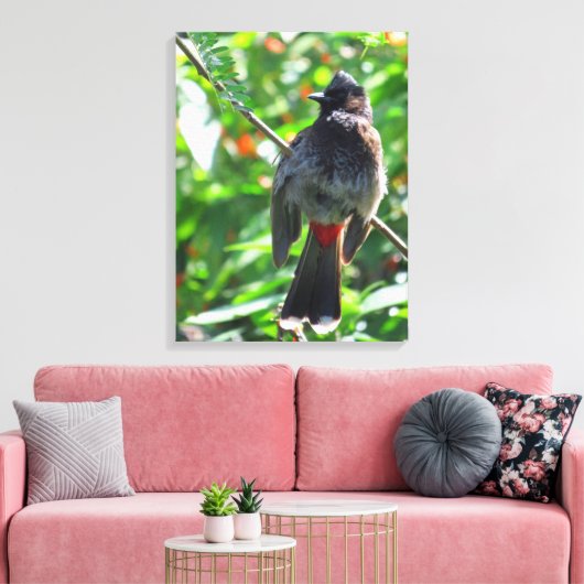 Red-vented Bulbul Canvas Afdruk (Insitu (Woonkamer))
