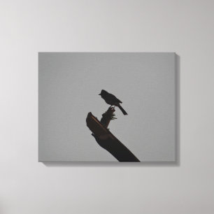 Red-vented Bulbul in Silhouet Stijlvolle foto Canvas Afdruk