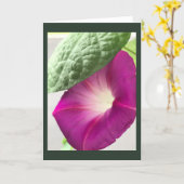 Red-Violet Morning Glory Blank Kaart (Gele Bloem)