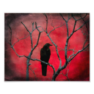 Red Vision Foto Afdruk