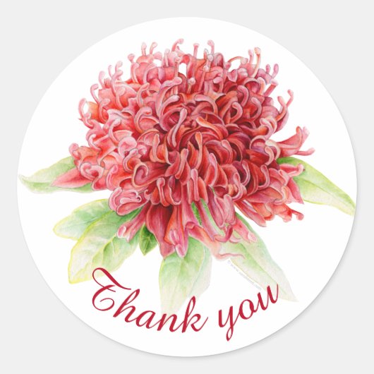 Red waratah botanische dank u bruiloft sticker (Voorkant)