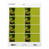 Red Water Lily Blossom Impressionistische Digitale Etiket (Full Sheet)