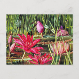 Red Water Lily uit Zuid-India Briefkaart