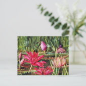 Red Water Lily uit Zuid-India Briefkaart (Staand voorkant)