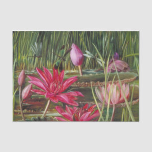 Red Water Lily uit Zuid-India door Marianne North Tissuepapier