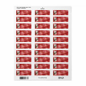 Red Waterverf Pset Rustic Photo Holiday Adres Etiket (Full Sheet)